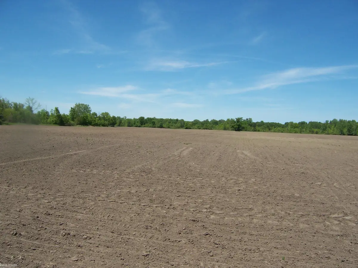 Lot 5 Lapeer Rd RD, Kimball, MI 48074 - #1
