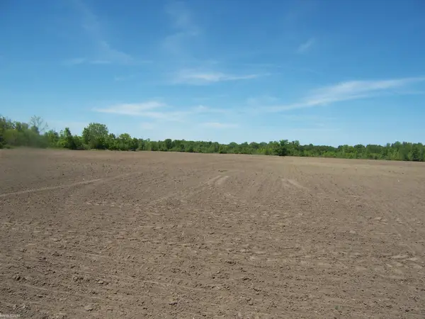 Lot 5 Lapeer Rd RD, Kimball, MI 48074