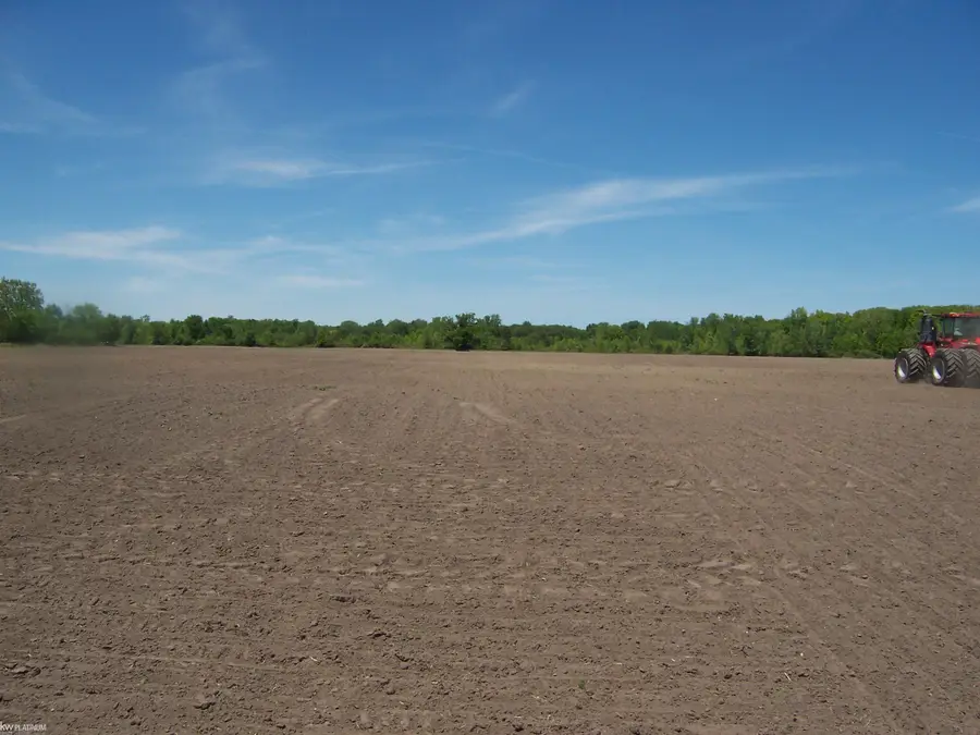 Lot 5 Lapeer Rd RD, Kimball, MI 48074 - #2
