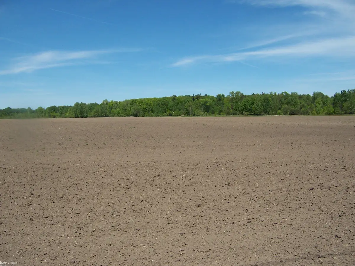 Lot 6 Lapeer Rd, Kimball, MI 48074 - #1
