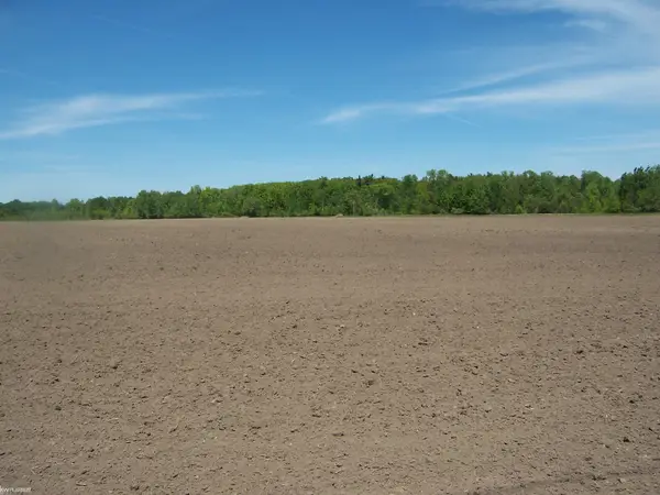 Lot 6 Lapeer Rd, Kimball, MI 48074