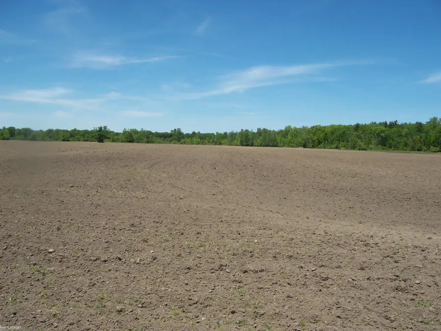 Lot 7 Lapeer Rd, Kimball, MI 48074 - #2