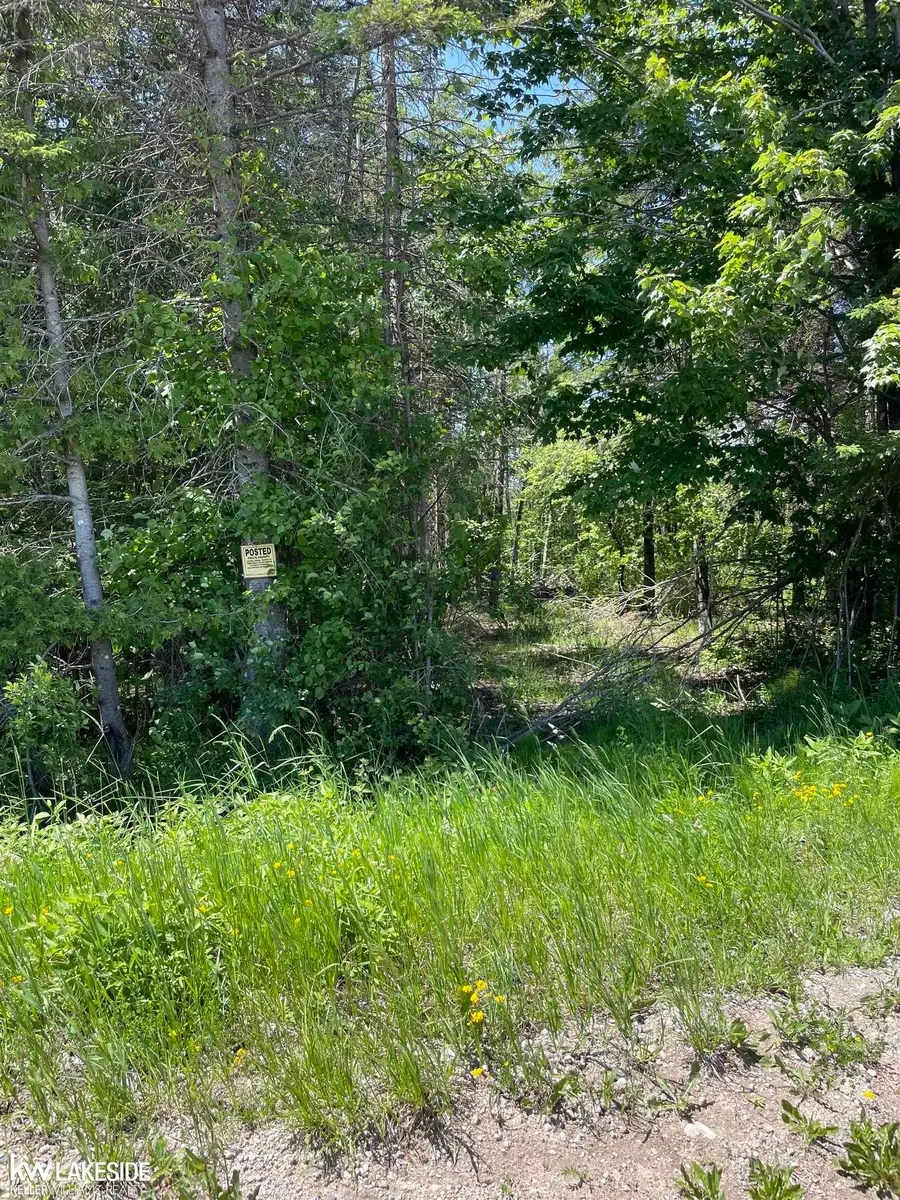 14027 Goebel RD, Cheboygan, MI 49721 - #2