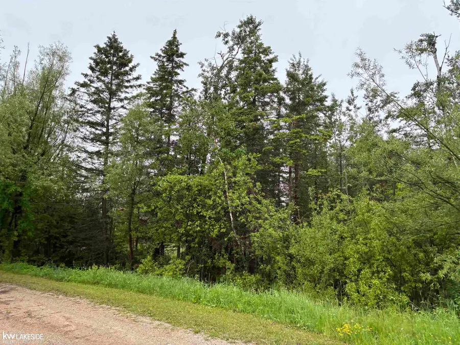 14027 Goebel RD, Cheboygan, MI 49721 - #3