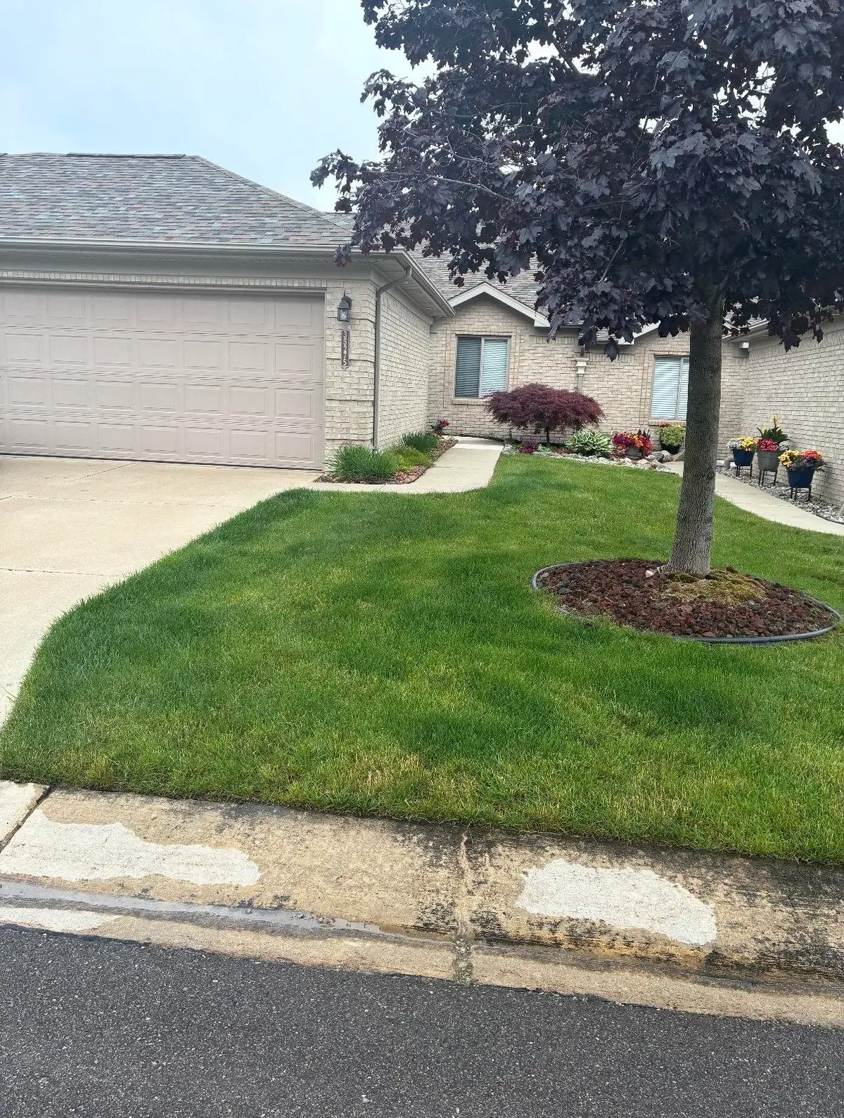 35275 Silver Maple DR, Clinton Township, MI 48035 - #1