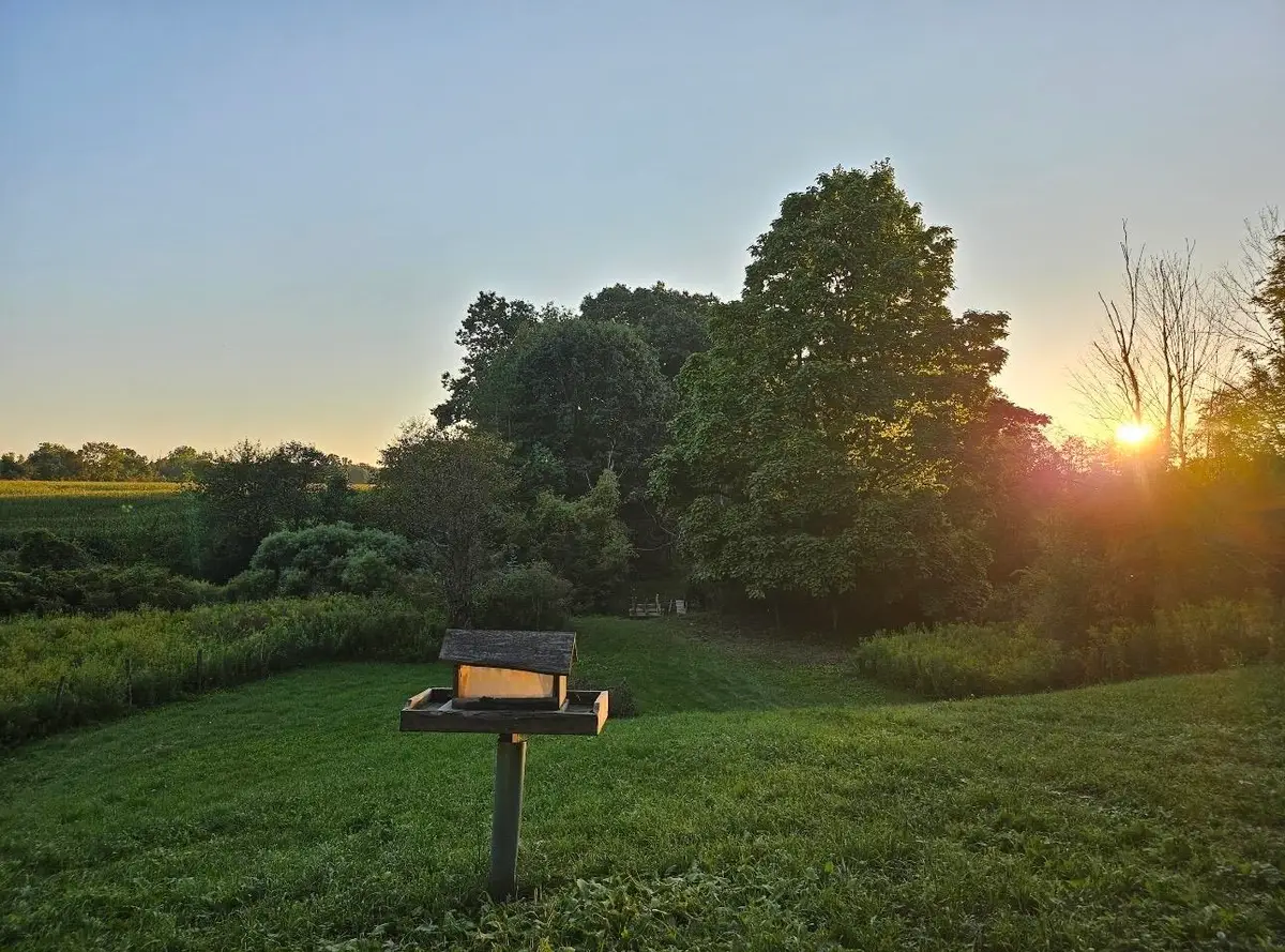 1187 Parks RD, Goodells, MI 48027 - #1