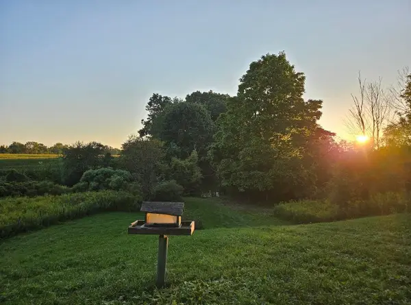 1187 Parks RD, Wales, MI 48027