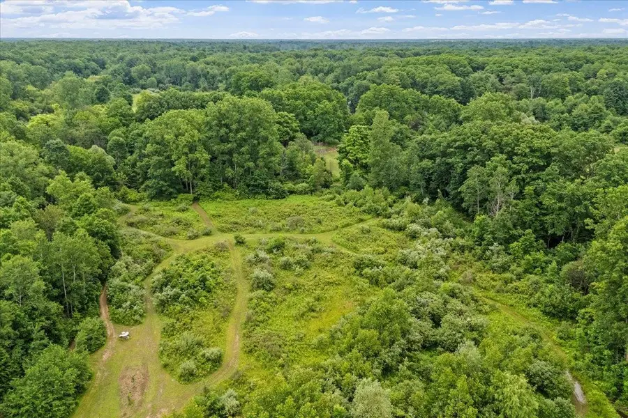 1187 Parks RD, Goodells, MI 48027 - #2