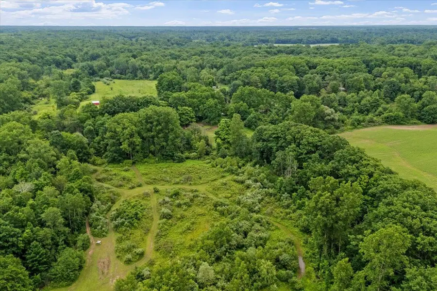 1187 Parks RD, Goodells, MI 48027 - #3