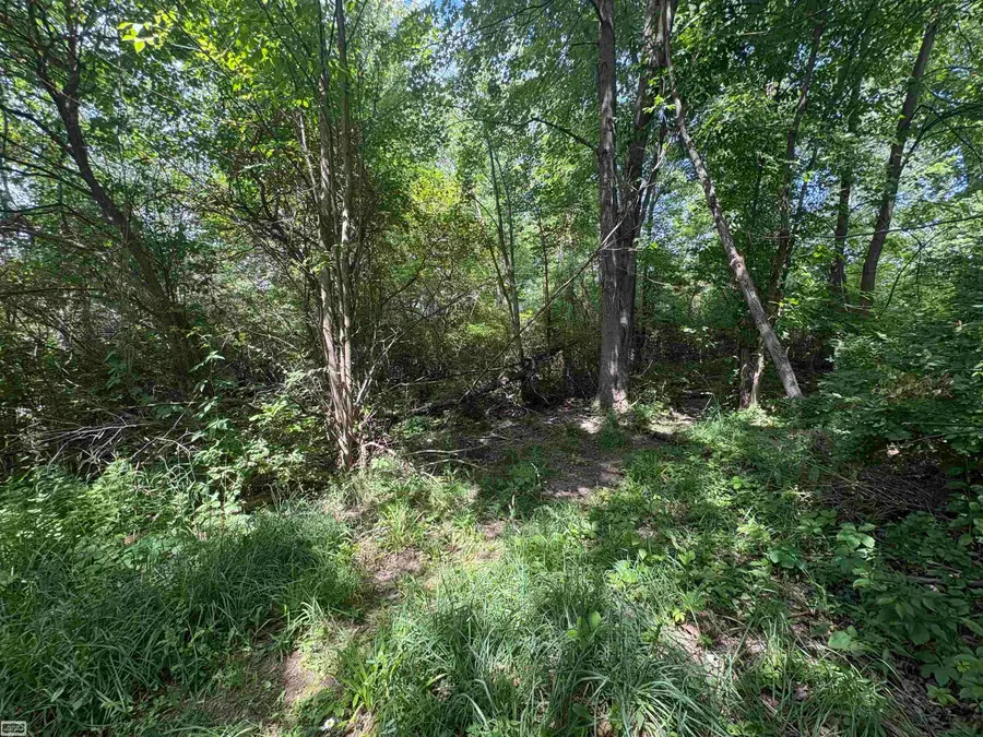V/L N Heron DR, Lapeer, MI 48446 - #3