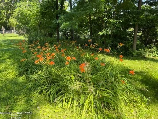 11827 Carney ST, Warren, MI 48089 - #3