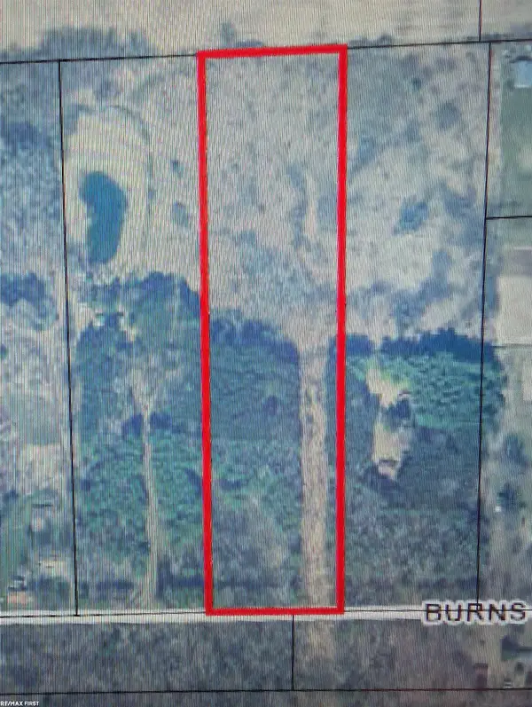 0 BURNS LINE RD, Croswell, MI 48422
