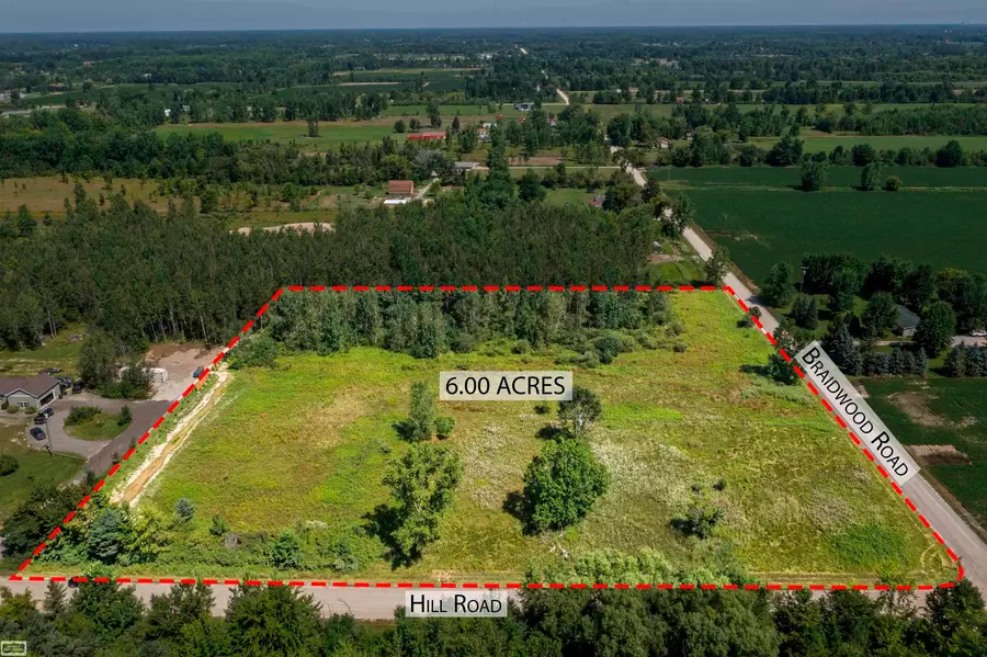 2005 Braidwood RD, Riley, MI 48041 - #2