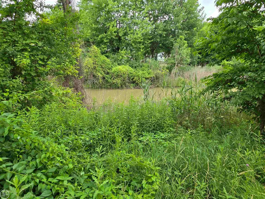 24741 OLD SHOOK RD, Harrison Township, MI 48045 - #3
