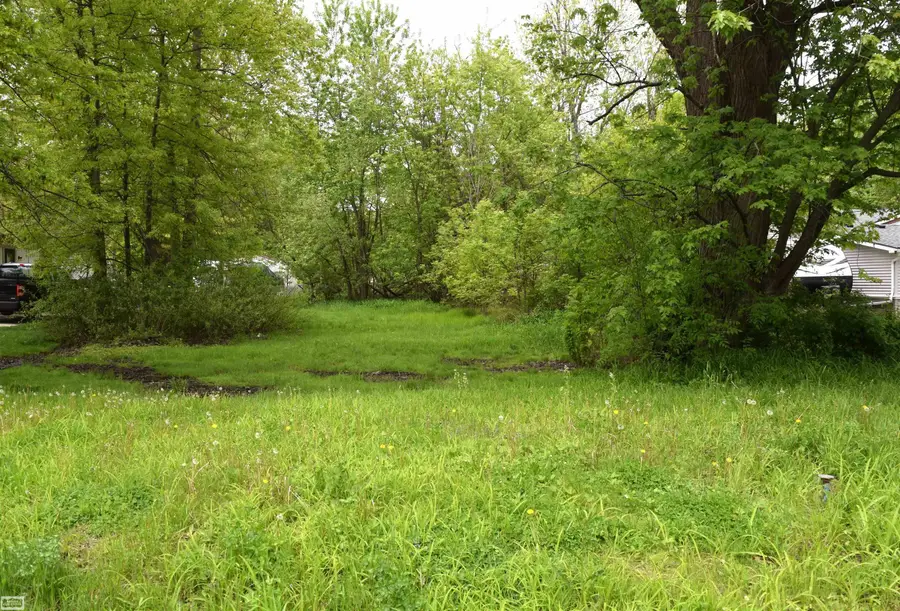 38199 Murdicks DR, New Baltimore, MI 48047 - #2