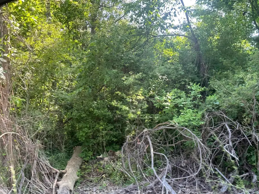 0 Bauman RD, Columbus, MI 48063 - #2