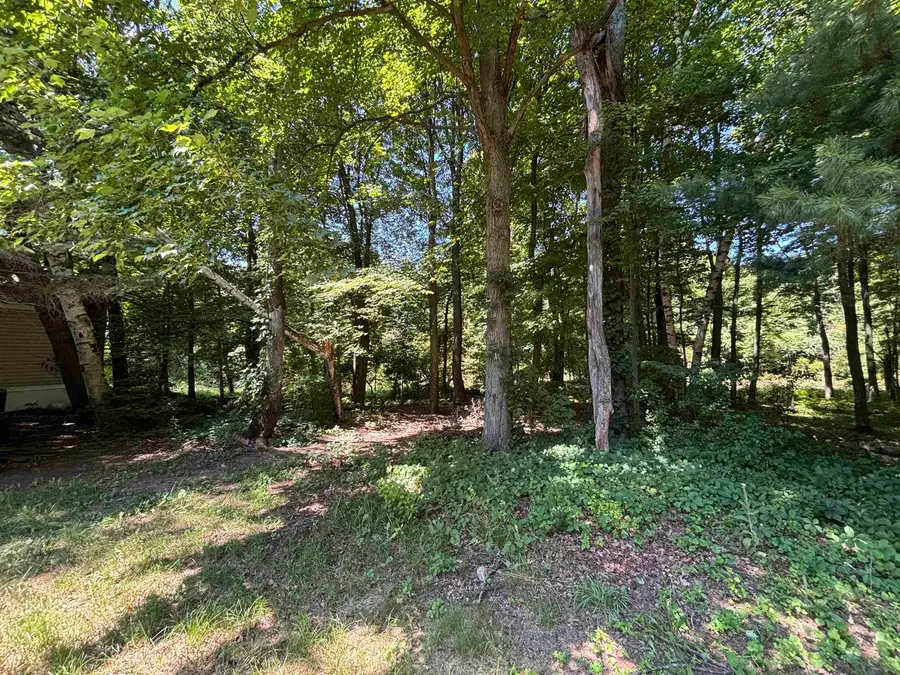 2237 RANAE ST, Croswell, MI 48422 - #3