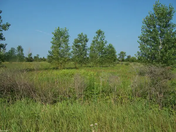 Vacant Minor Rd RD, Memphis, MI 48041