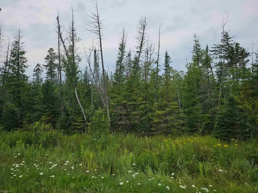 Bloom RD, Alpena, MI 49707 - #2