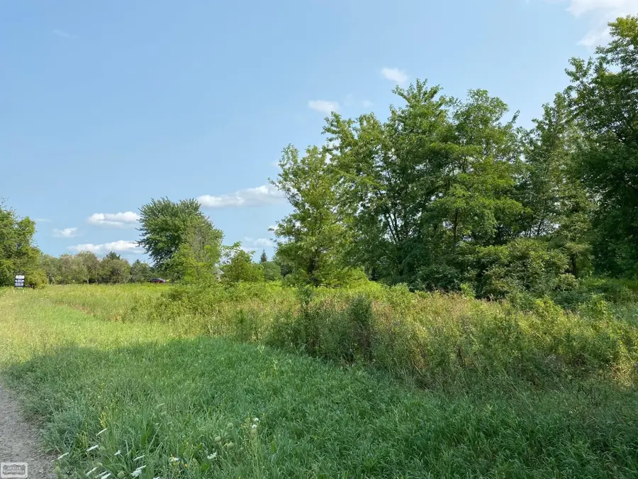 37 Mile RD, Romeo, MI 48065 - #3