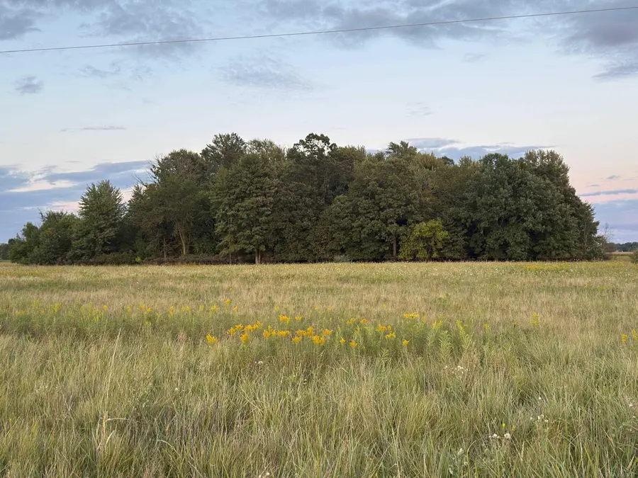00 E Kilgore RD, Croswell, MI 48422 - #3