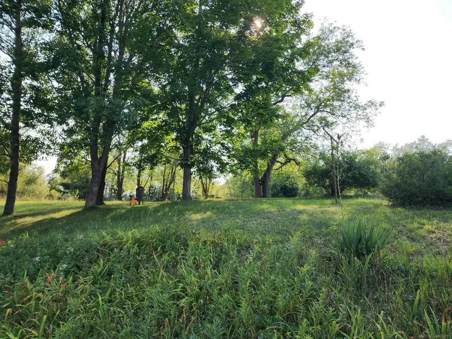 9796 Lake of the Woods rd RD, Mancelona, MI 49659 - #3