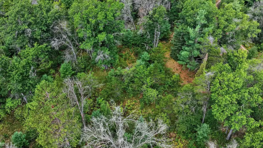 00 Valley Vista Lot 20 DR, Mio, MI 48647 - #2