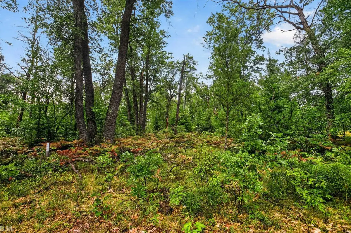 00 Valley Vista Lot 12 DR, Mio, MI 48647 - #1