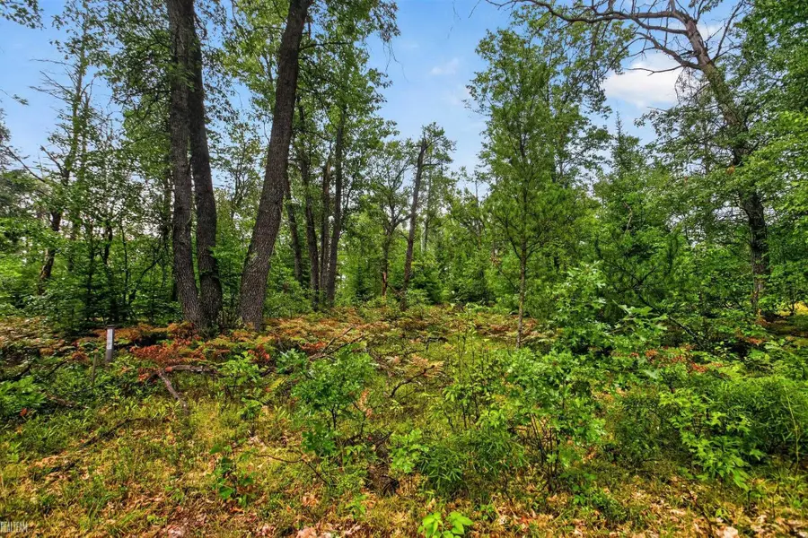 00 Valley Vista Lot 12 DR, Mio, MI 48647 - #2