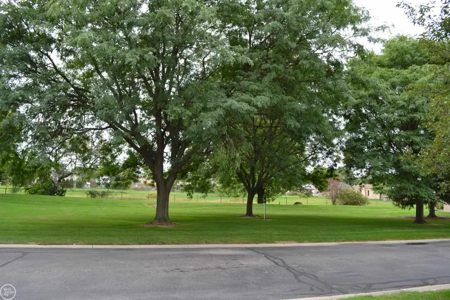 40780 Magnolia East DR, Clinton, MI 48038 - #2