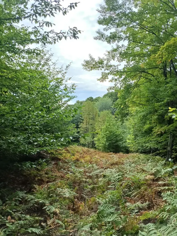 TBD E Dietz RD, BoyneCity, MI 49712