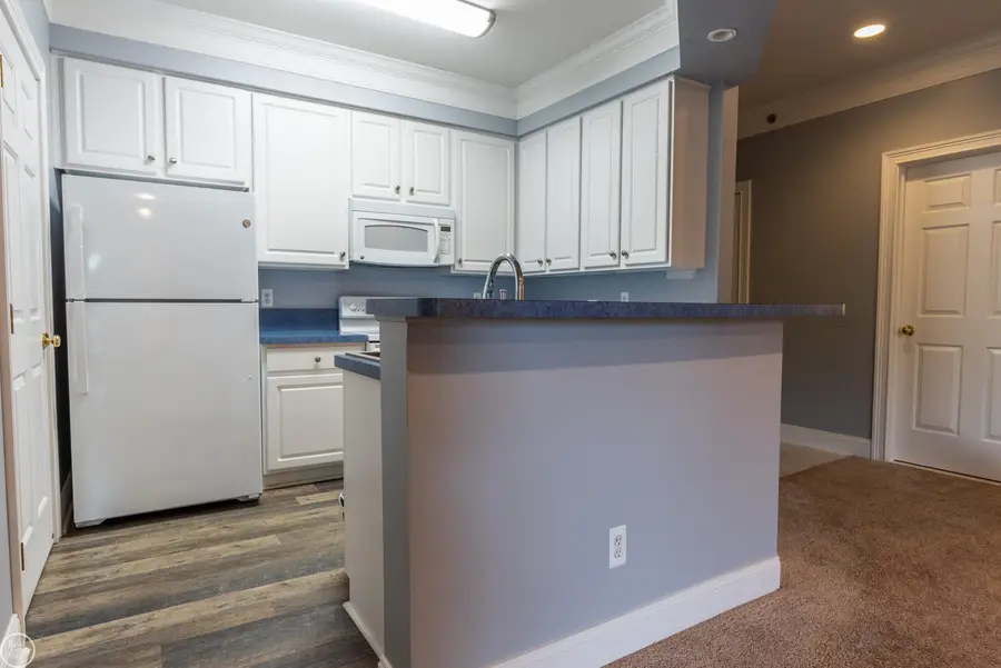 39178 Hayes RD, Clinton, MI 48038 - #3