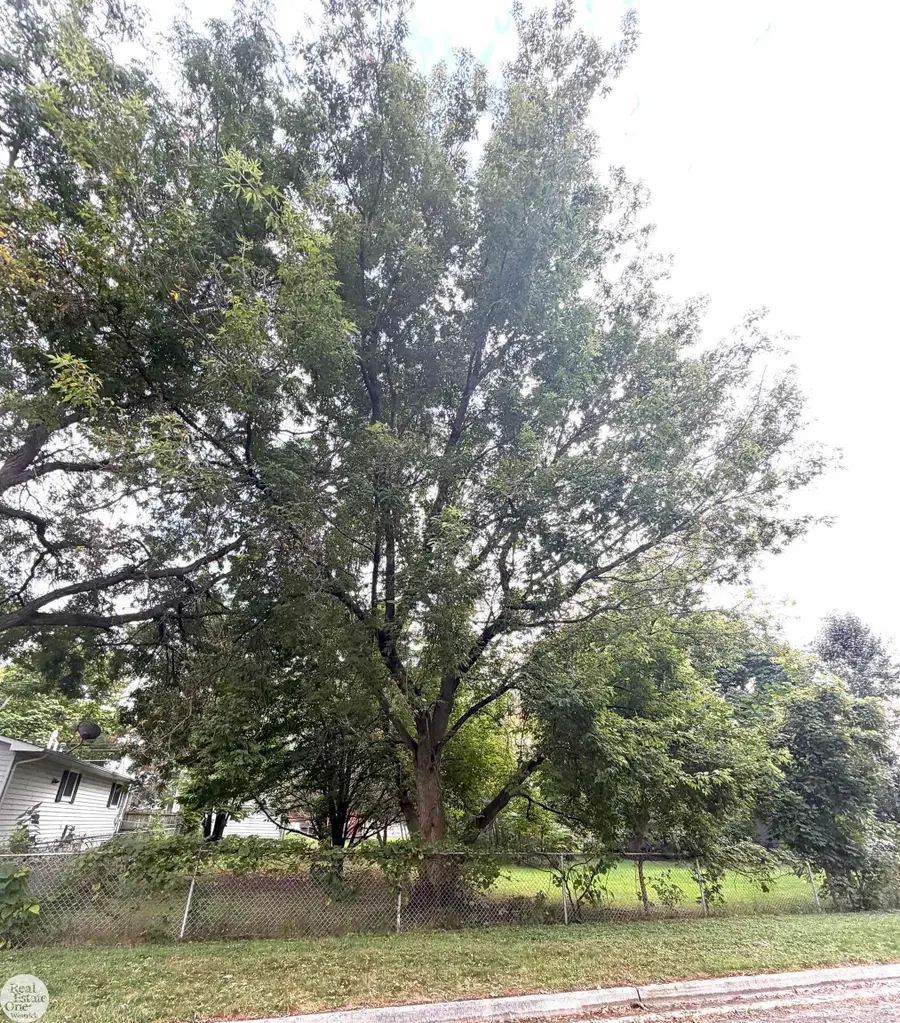 0 Mabel ST, Marine City, MI 48039 - #2