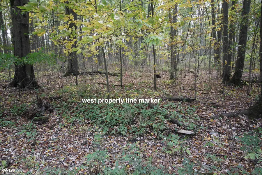 0 Dunn RD, Riley, MI 48041 - #2