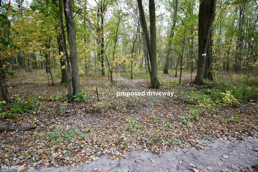 0 Dunn RD, Riley, MI 48041 - #3