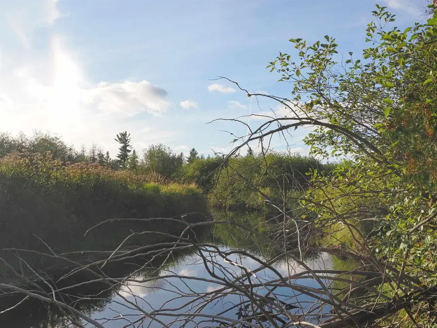 XX SG RD, Felch, MI 49831 - #2