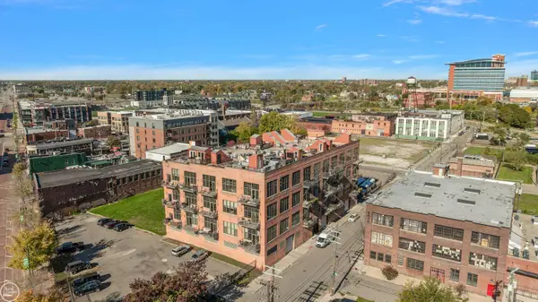 2003 Brooklyn ST, Detroit, MI 48226