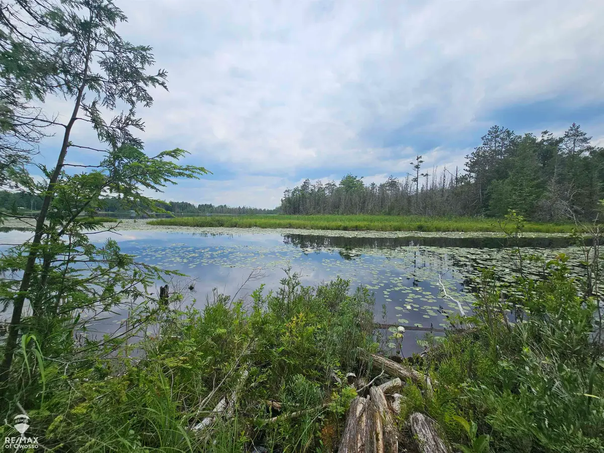 Spile Dam RD, Millersburg, MI 49759 - Image #1