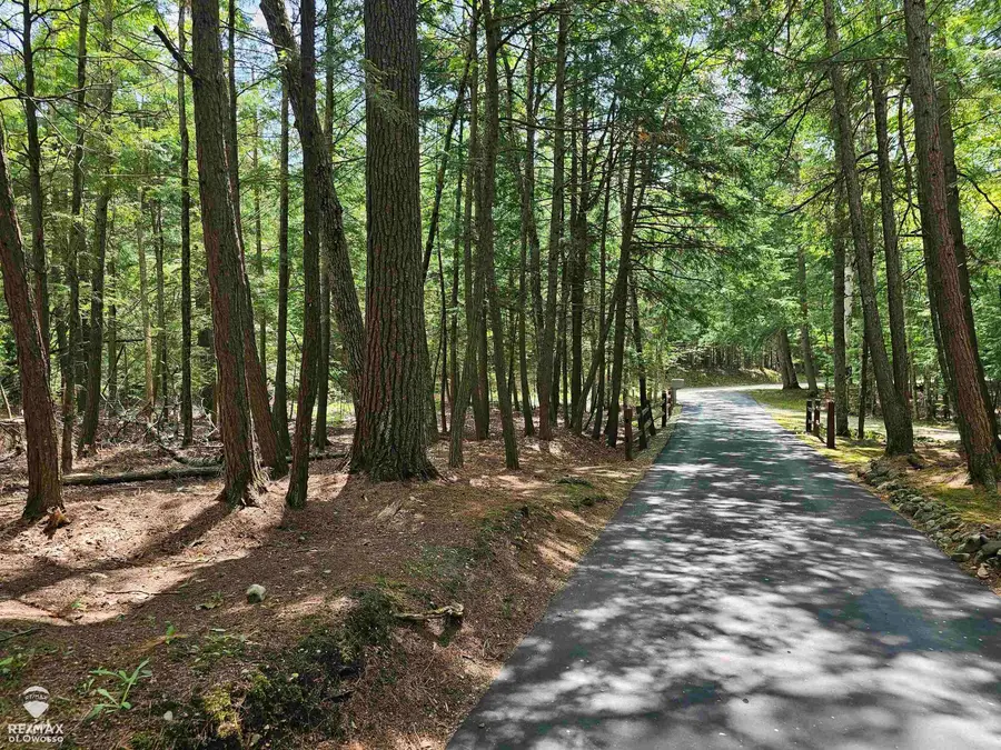 Spile Dam RD, Millersburg, MI 49759 - Image #3