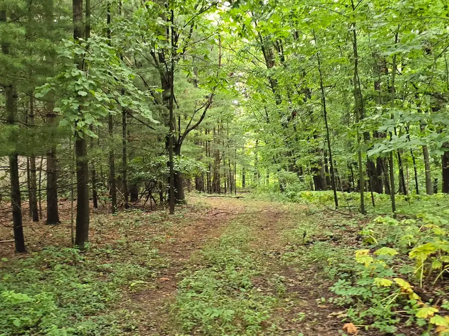 vl Lehring Rd RD, Burns, MI 48429 - Image #3