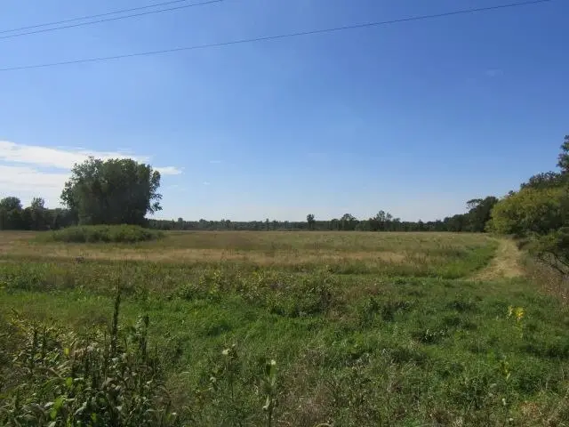 V/L Morrice Rd. RD, Owosso, MI 48867 - Image #2