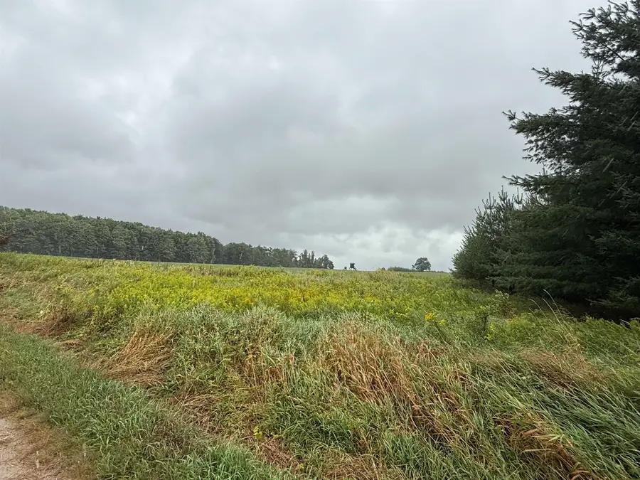 VL M55 HWY, Prescott, MI 48756 - Image #2