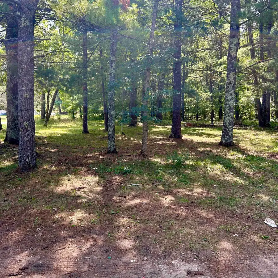 10332 Marx RD, Wellston, MI 49689 - Image #3