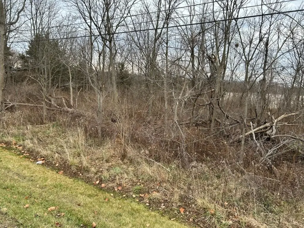 00 M-71, Durand, MI 48429 - Image #1