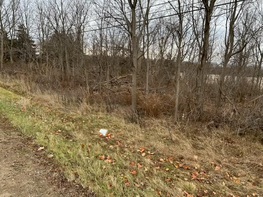 00 M-71, Durand, MI 48429 - Image #3