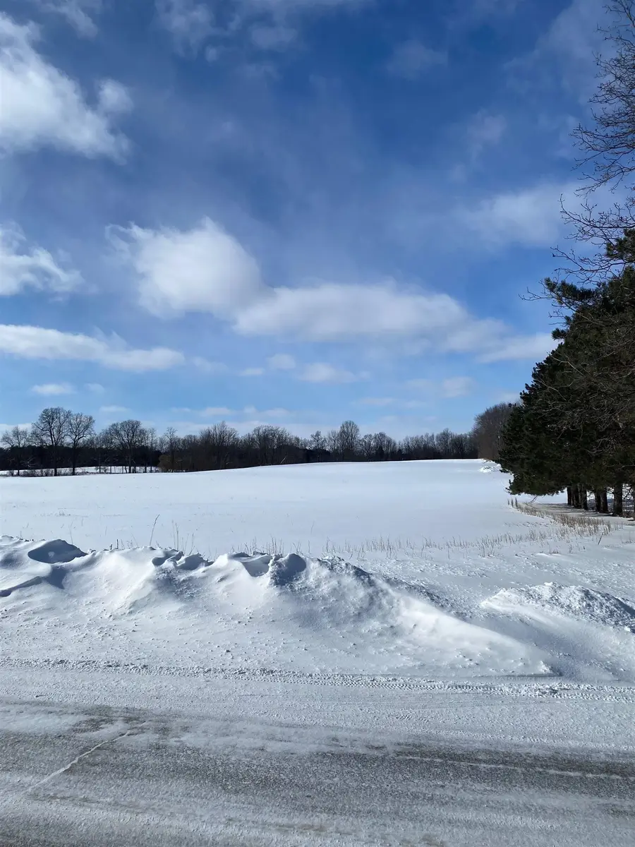 0 Fenner (011) RD, Perry, MI 48872 - Image #3