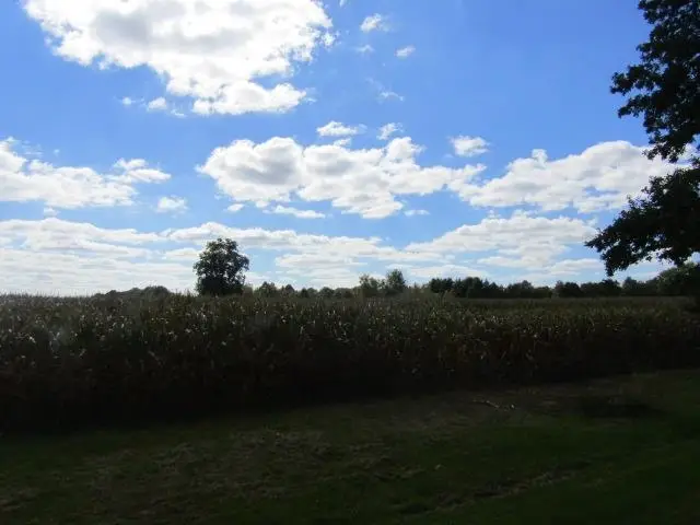 Garrison RD, Laingsburg, MI 48848 - #1