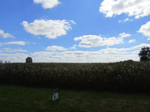 Garrison RD, Laingsburg, MI 48848 - #2