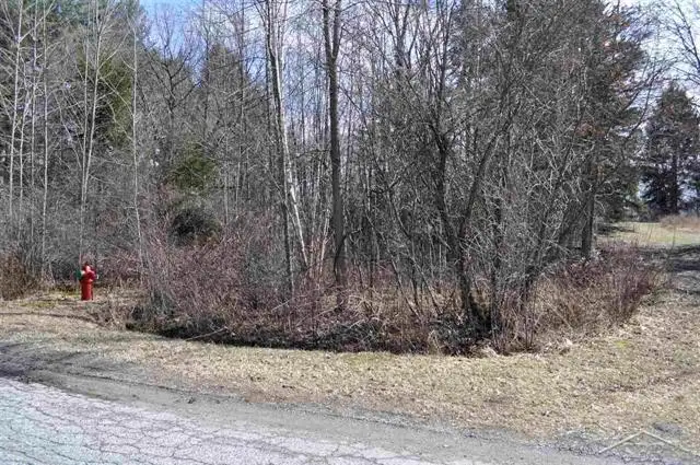 VL Schomaker Rd, Saginaw, MI 48609 - Image #2