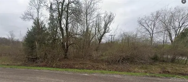 VL W Frances RD, Flushing, MI 48433